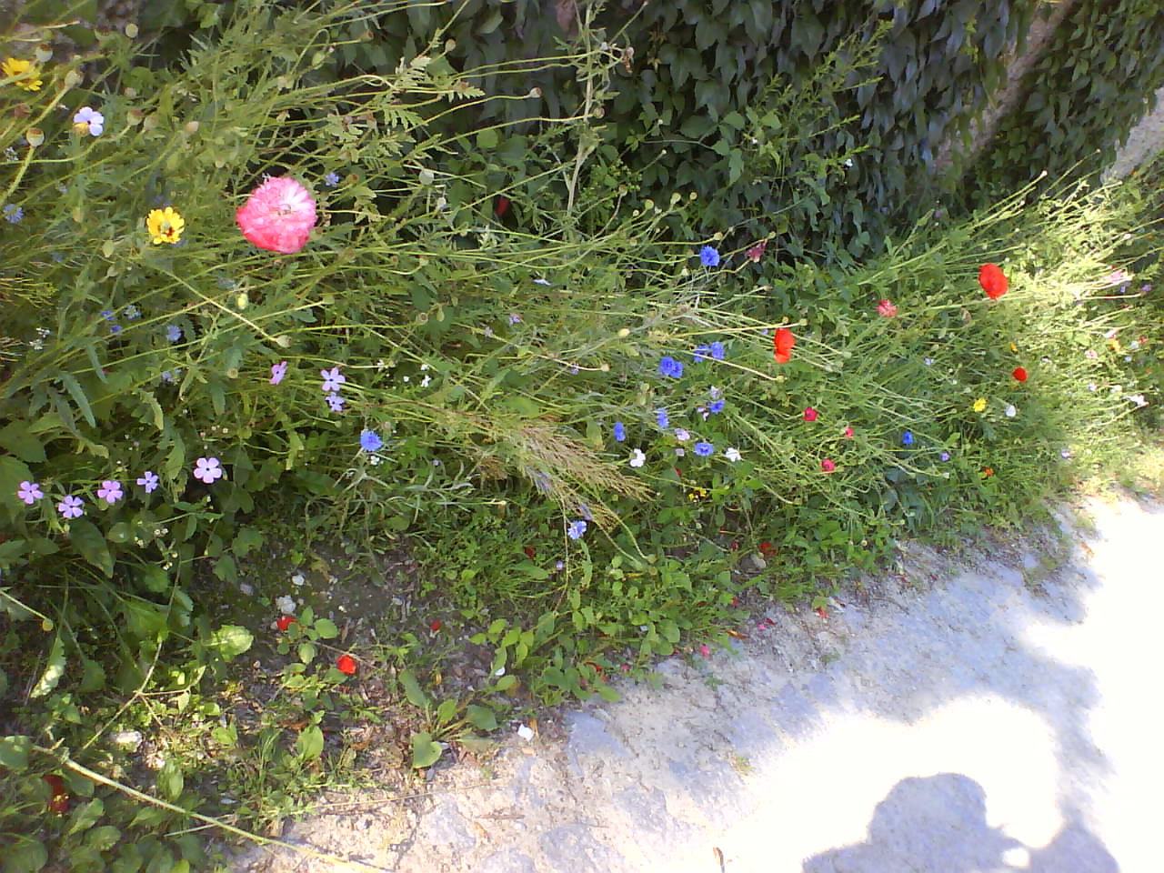umwege bunte umwege