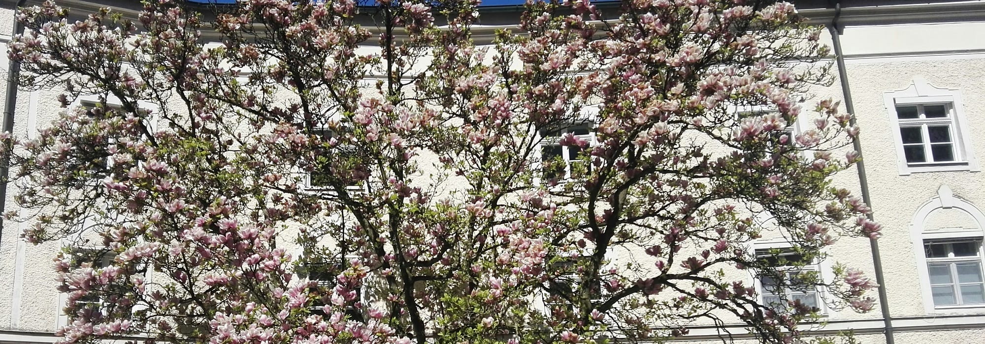 Fragen 651 - 675